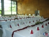 Bild1